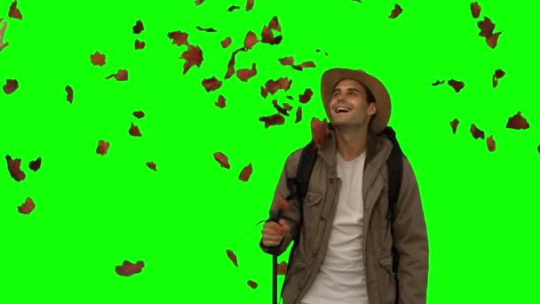 Cheerful man standing under leaves falling on green screen — Stock Video