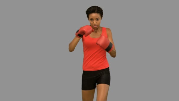 Atractivo boxeo de mujer en pantalla gris — Vídeos de Stock