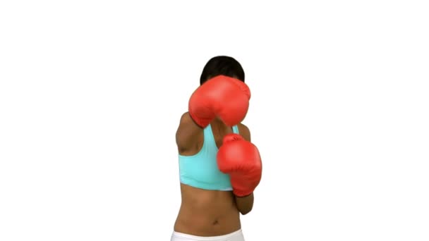 Sexy model with red gloves boxing — Stock Video