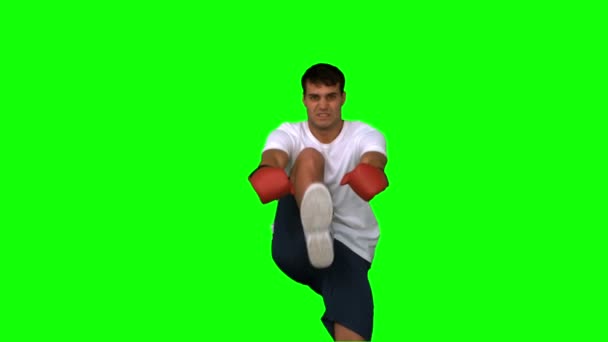 Handsome boxer performing a high kick on green screen — Stock Video