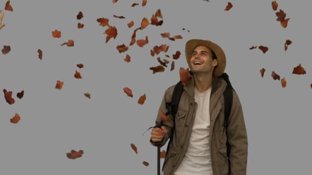 Hombre alegre de pie bajo las hojas cayendo en la pantalla gris — Vídeo de stock
