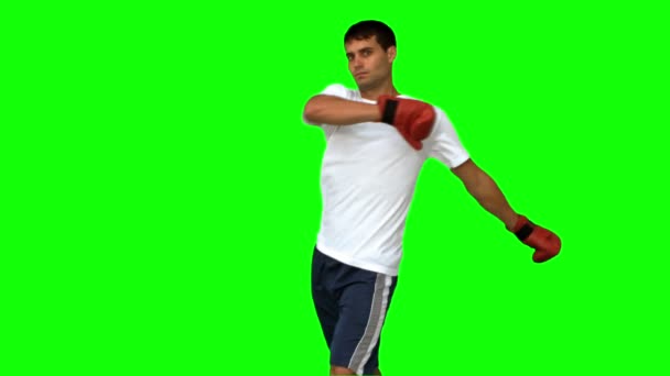 Boxer performing an air kick on green screen — Stock Video