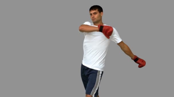 Guapo boxeador realizando una patada de aire en pantalla gris — Vídeos de Stock