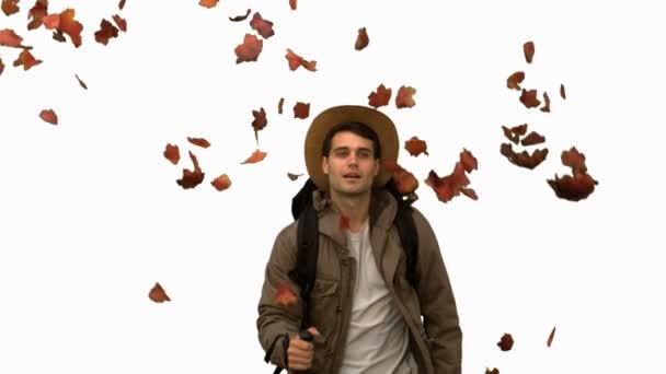 Man walking under leaves falling on white screen — Stock Video