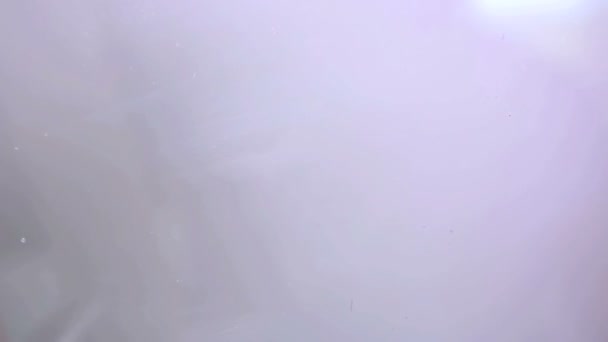 아름 다운 금발 여자 키스 카메라 — 비디오