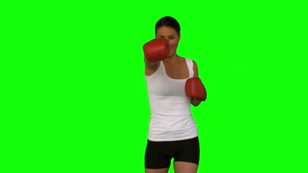 Vrouw boksen — Stockvideo