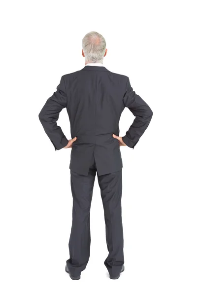 Rear view of serious mature businessman posing — Stock Photo, Image