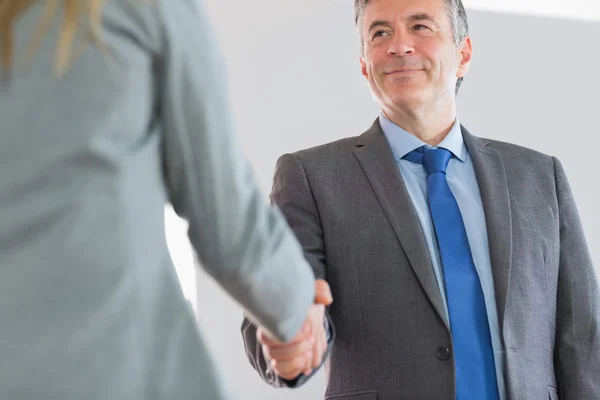 Happy businessman shaking a hand — Stock Photo, Image