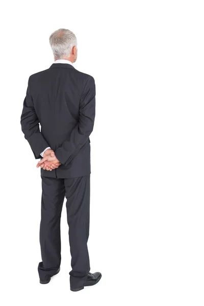 Rear view of mature businessman posing — Stock Photo, Image