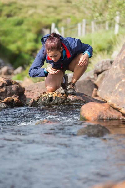 Randonneur se penchant pour prendre un verre du ruisseau — Photo