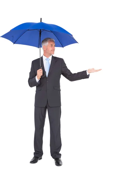 Peaceful businessman holding blue umbrella — Stock Photo, Image