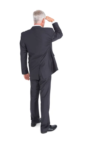 Rear view of mature businessman looking away — Stock Photo, Image