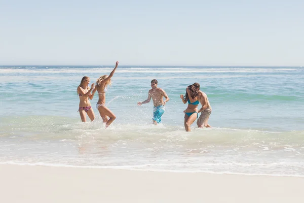 Grupo de amigos se divertindo na praia — Fotografia de Stock