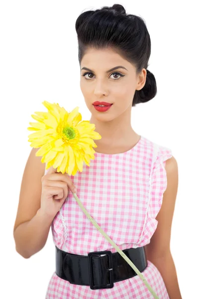 Nádherné černé vlasy model drží květ — Stock fotografie
