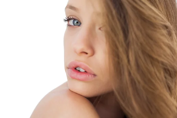 Dreamy brunette model posing looking at camera — Stock Photo, Image