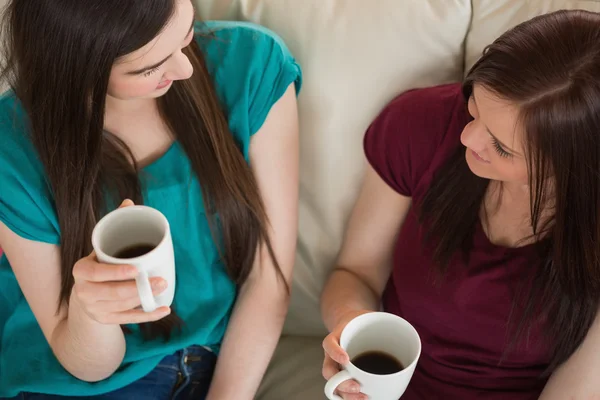 微笑着的两个朋友在喝咖啡，坐在沙发上聊天 — 图库照片