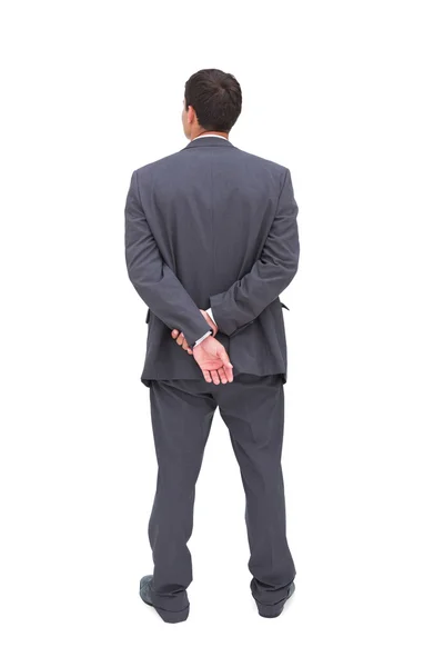 Rear view of classy businessman posing — Stock Photo, Image