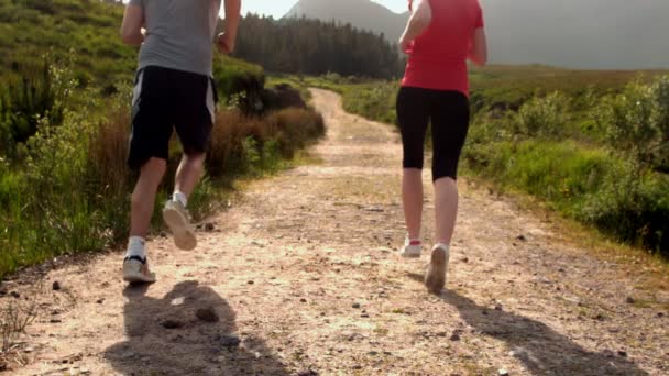Ajuste casal correndo juntos no campo longe da câmera — Vídeo de Stock