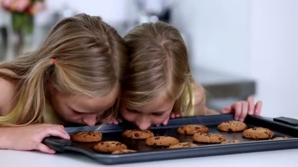 Dochter ruikende cookies — Stockvideo