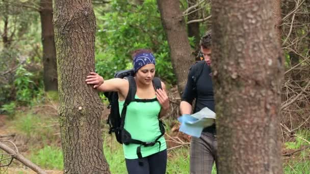 Fit casal explorando uma área arborizada lendo um mapa — Vídeo de Stock