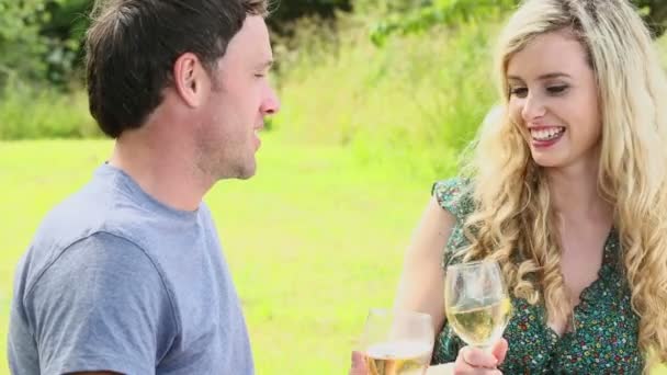 可爱的年轻夫妇在一起饮用白葡萄酒 — 图库视频影像