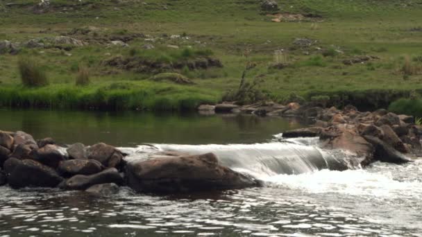 Río que fluye sobre rocas — Vídeo de stock