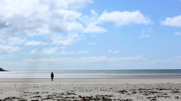 Mujer relajándose y caminando hacia el mar — Vídeos de Stock