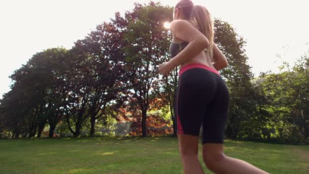 Femme sportive athlétique jogging — Video