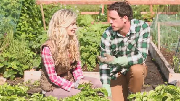 Atractiva pareja de jardinería juntos — Vídeos de Stock