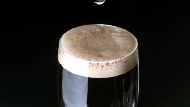 Shamrock atterrissage sur la tête de pinte de stout sur fond noir — Video