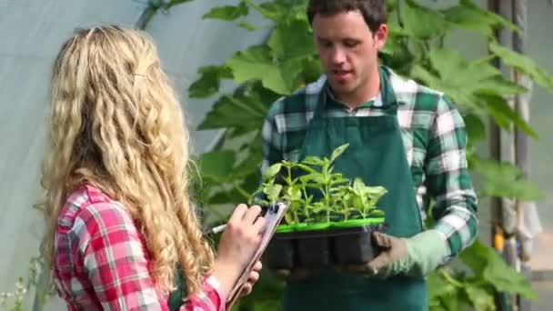 Jovem jardineiro mostrando plantas ao comprador — Vídeo de Stock