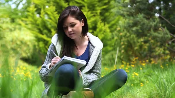 Mujer sentada sobre hierba escribiendo en un cuaderno — Vídeos de Stock