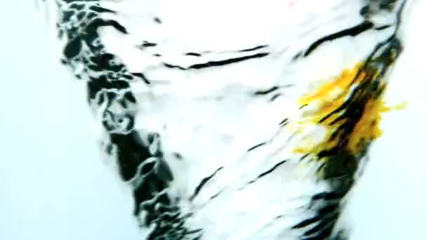 Inchiostro giallo vorticoso in acqua idromassaggio su sfondo bianco — Video Stock