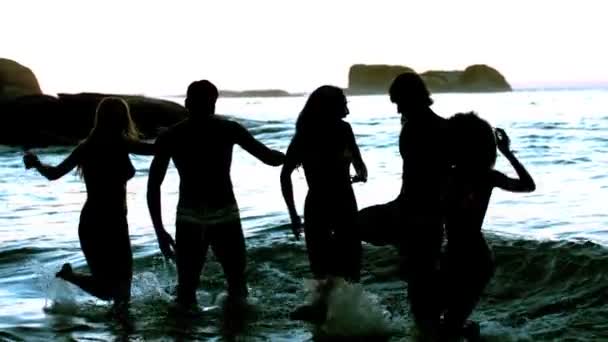 Freunde mit Spaß ins Meer — Stockvideo