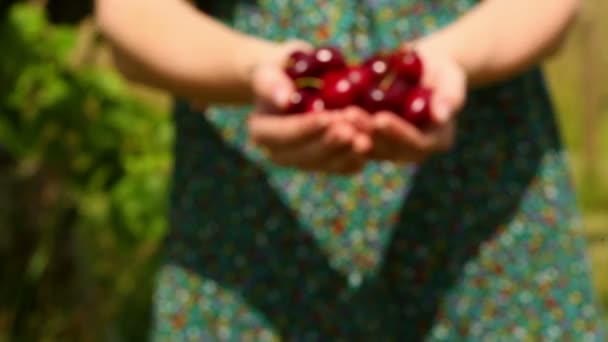 Close up on woman walking to camera holding cherries — Stock Video