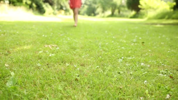 Ženské nohy v trávě, chůzi směrem k fotoaparátu — Stock video