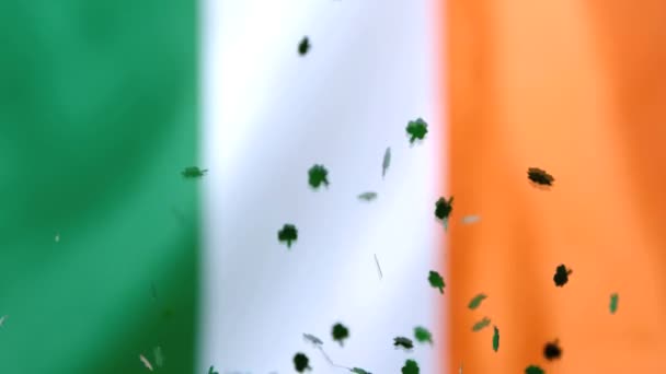 Confettis Shamrock tombant sur le drapeau irlandais — Video