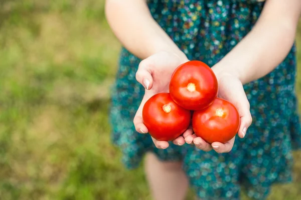 Mulher segurando alguns tomates — Fotografia de Stock