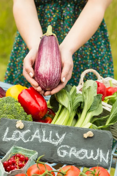 Twee handen met een aubergine — Stockfoto