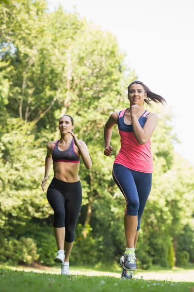 Due giovani amici in forma fare jogging — Foto Stock