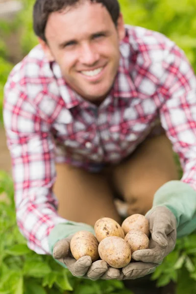 Genç adam biraz patates gösterilen — Stok fotoğraf