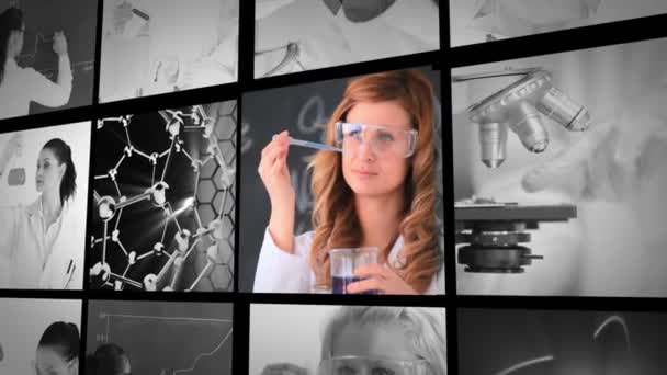 Trois courts clips sur les assistants de laboratoire en travail — Video