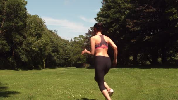 Achteraanzicht van sportieve vrouw uitgevoerd op gras — Stockvideo