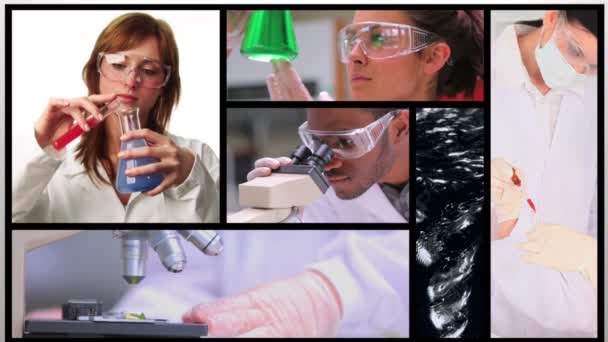 Brevi clip che mostrano gli assistenti di laboratorio — Video Stock