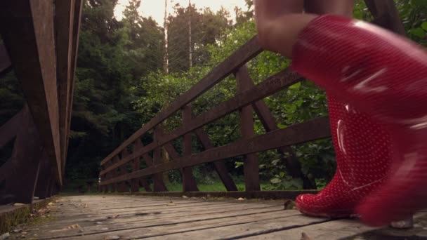 Zadní pohled na bruneta pěšky přes dřevěný most — Stock video