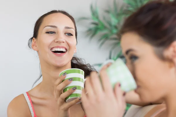 Young laughing woman having coffee with friend — Stock Photo, Image