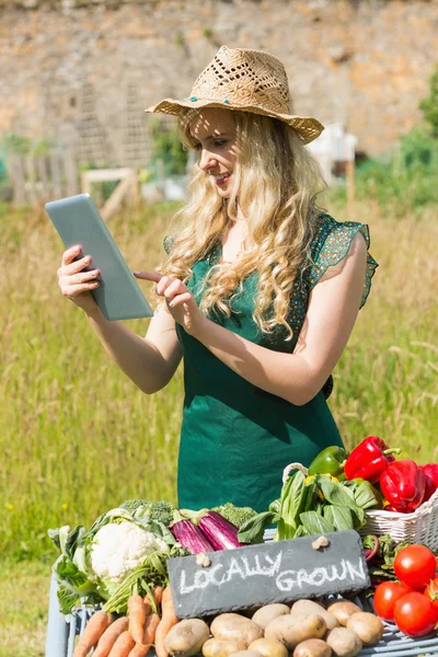 Jonge vrouwelijke boer controleren haar tablet bij haar kraam — Stockfoto