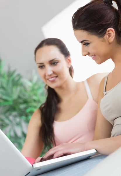 Two young women working with their notebook — Stock Photo, Image