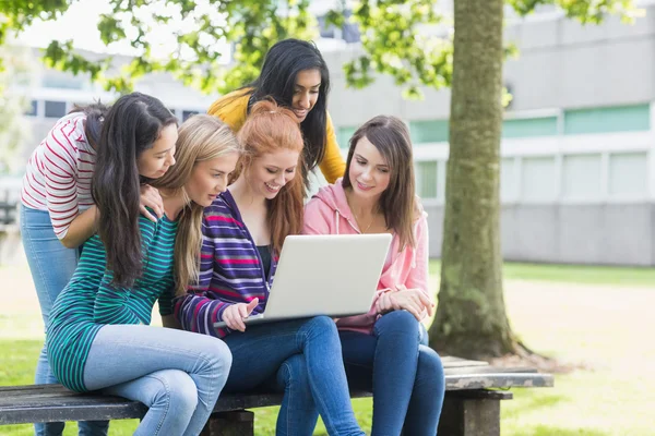 Grupp collegeflickor använder laptop i park — Stockfoto