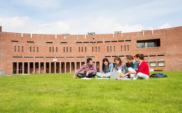 Estudantes usando laptop no gramado contra prédio universitário — Fotografia de Stock